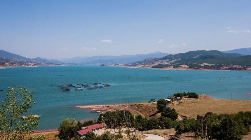 T&uuml;rkiye Genelinden 100 Kanocu Almus&rsquo;ta K&uuml;rek &Ccedil;ekecek