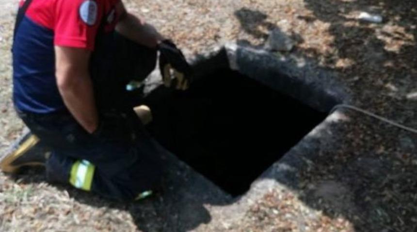 Su Kuyusuna D&uuml;şen Eşeği İtfaiye Eri Halatla &Ccedil;ıkardı