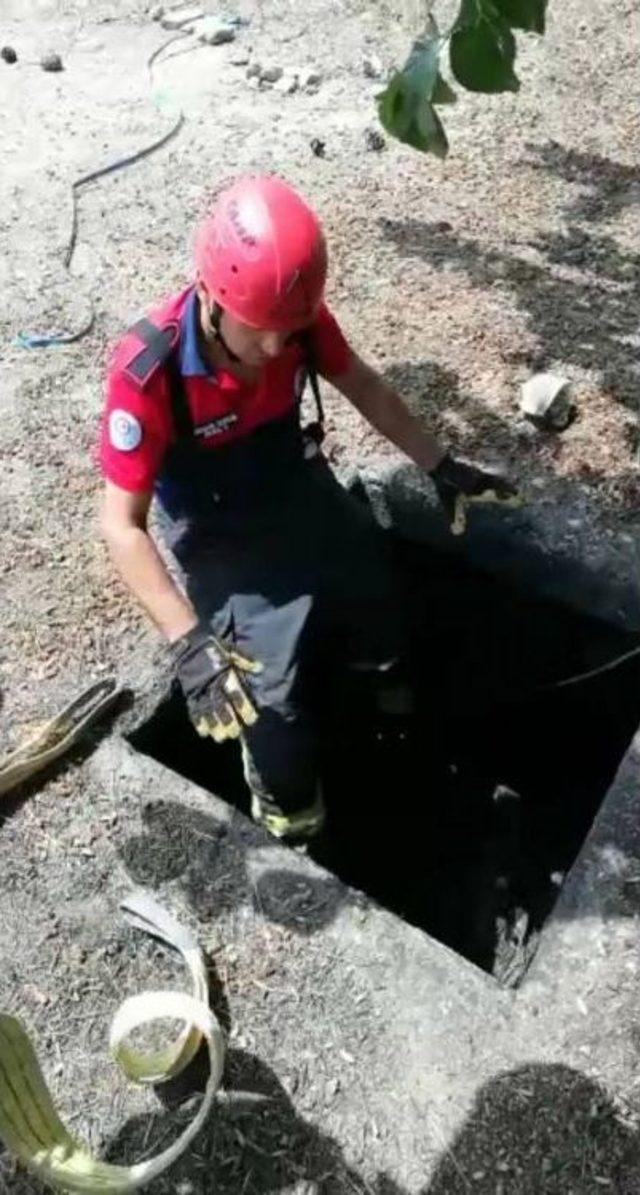 Su Kuyusuna Düşen Eşeği İtfaiye Eri Halatla Çıkardı 2