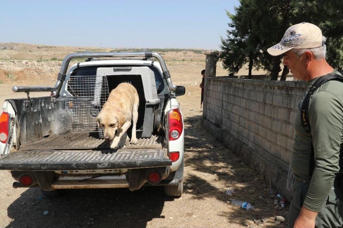 Kayıp Yusuf&rsquo;u Arama &Ccedil;alışmaları 10. G&uuml;n&uuml;nde