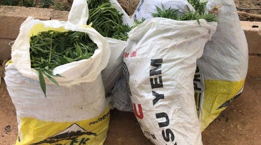 Hint Keneviri Operasyonunda 7 Tutuklama