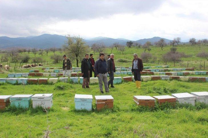 Aydın’da Arıcılara Şok G3