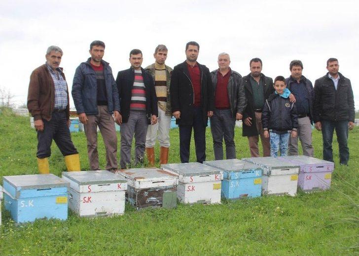 Aydın’da Arıcılara Şok G5
