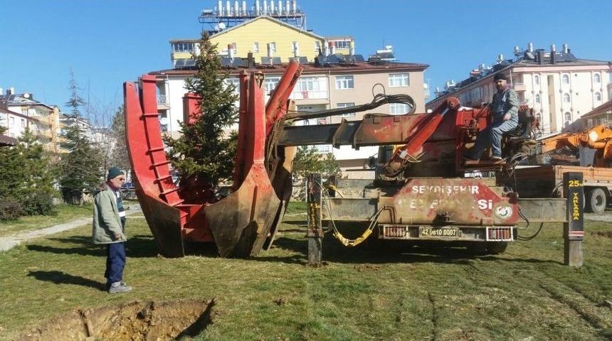 Seydişehir Belediyesinden Ağa&ccedil; Duyarlılığı