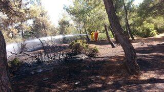 Arsuz’da Çıkan Orman Yangını Söndürüldü