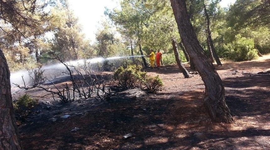 Arsuz’da Çıkan Orman Yangını Söndürüldü