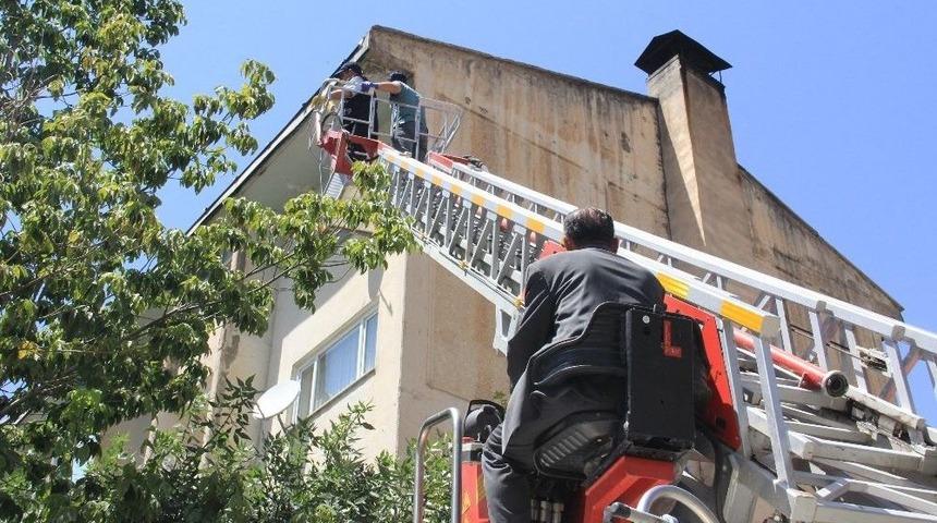 &Ccedil;atıda Mahsur Kalan Ser&ccedil;e Kurtarıldı