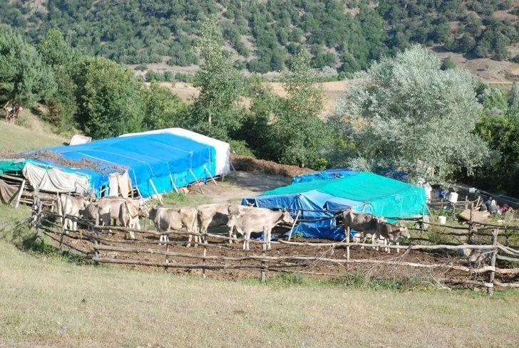 3 Yaşındaki Evrim’i Bulmak İçin Tüm İmkanlar Seferber Edildi G3