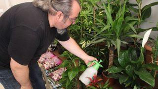 Yaz Aylarında Çiçekseverlerin Endişesi Artıyor