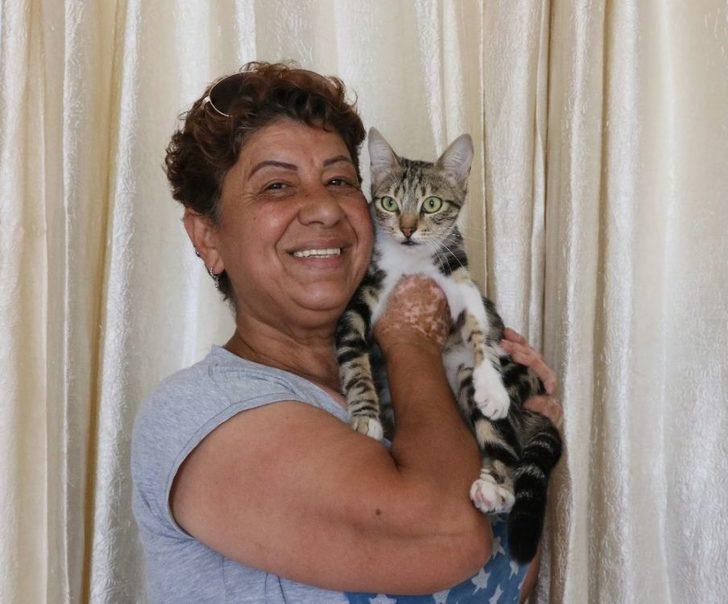 Mahallenin Fahri Trafik Polisi Ayşe Kaya Sokak Kedilerini Böyle Koruyor G2