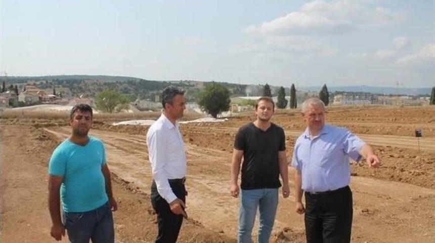 İl M&uuml;d&uuml;r&uuml; Yoldaş, Buğday Alım Yerlerinde İncelemede Bulundu