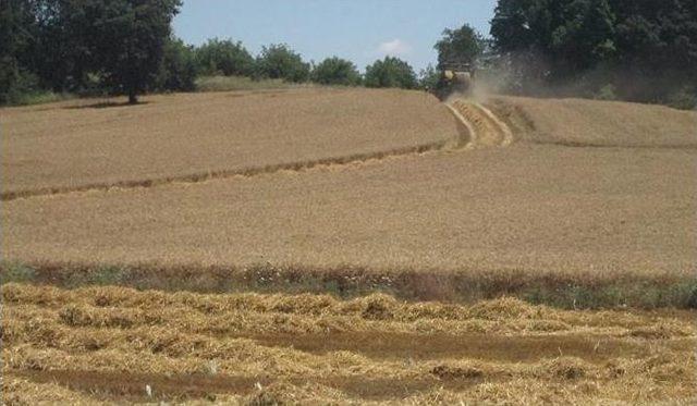 İl M&uuml;d&uuml;r&uuml; Yoldaş, Buğday Alım Yerlerinde İncelemede Bulundu 2