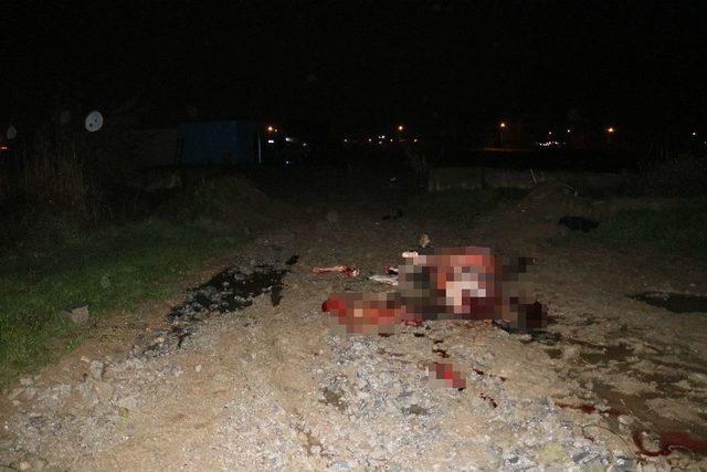 Adana’da Kaçak Et Operasyonu 1