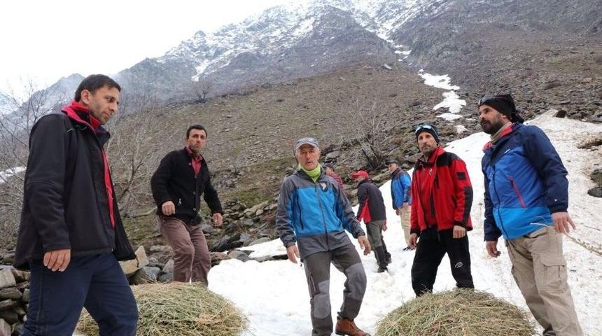 Hakkari’de Yaban Hayvanları İçin Doğaya Yem Bırakıldı