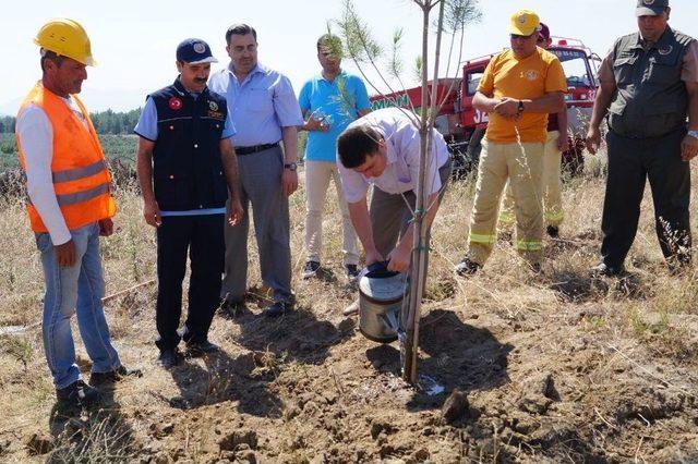 Kırkağaç’ta ’15 Temmuz Şehitleri Hatıra Ormanı’ Oluşturuldu