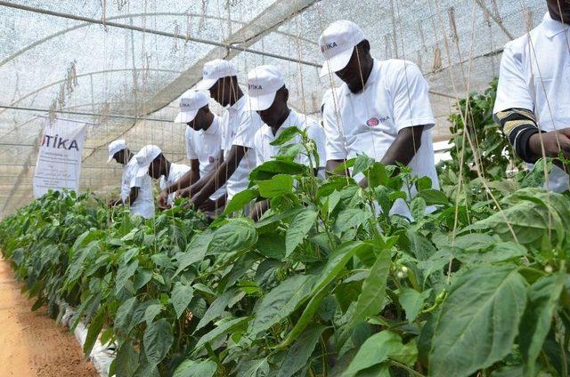 Somali Tarım Okulu İlk Mühendislerini Mezun Etti