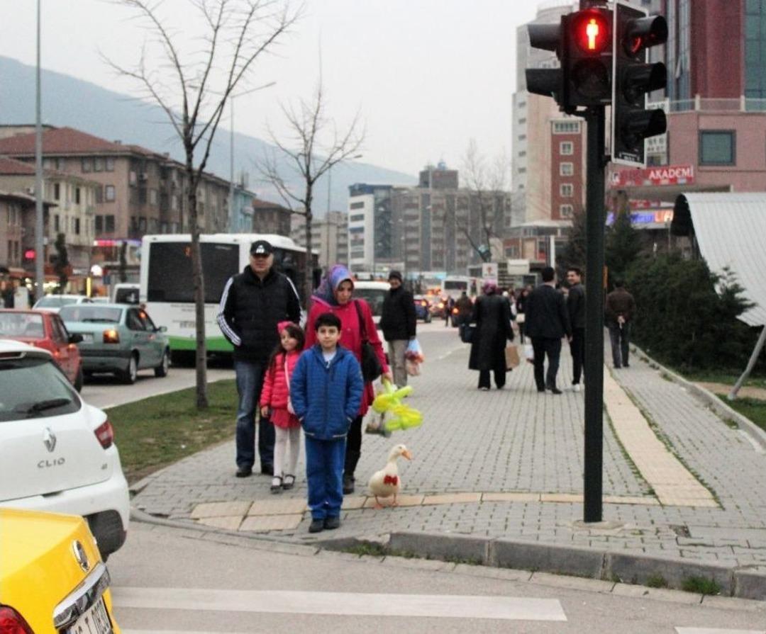 (&ouml;zel Haber) Metropol &Ouml;rdek