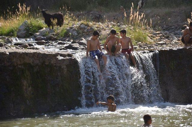 Sıcaktan Bunalanlar Derede Serinliyor