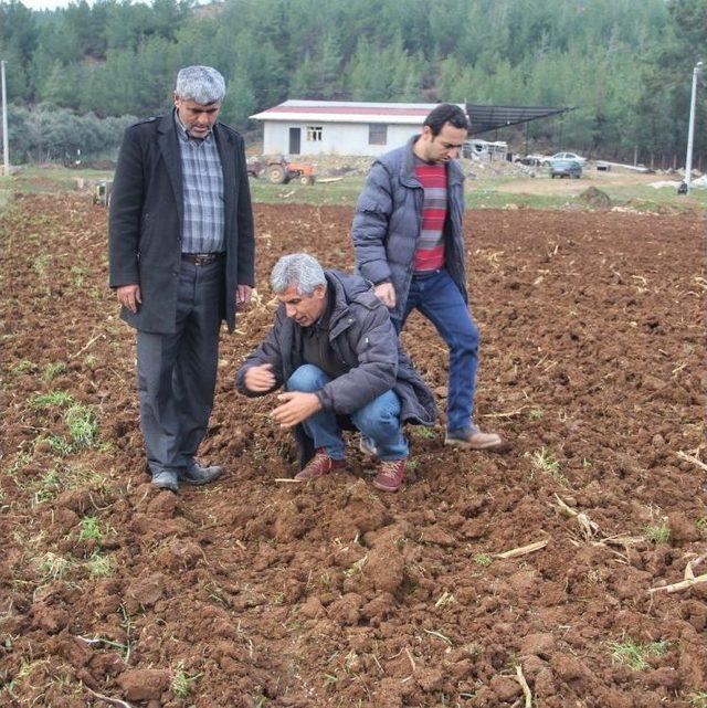 &Ouml;nder &Ccedil;ift&ccedil;ilerden &lsquo;hitit&rsquo; Buğdayına Destek 1