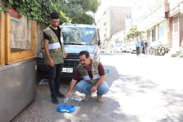 Kavurucu Sıcaklarda Hayvanların İmdadına Ekipler Yetişti G3