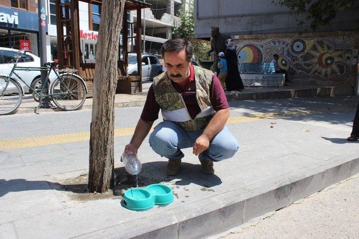 Kavurucu Sıcaklarda Hayvanların İmdadına Ekipler Yetişti G4