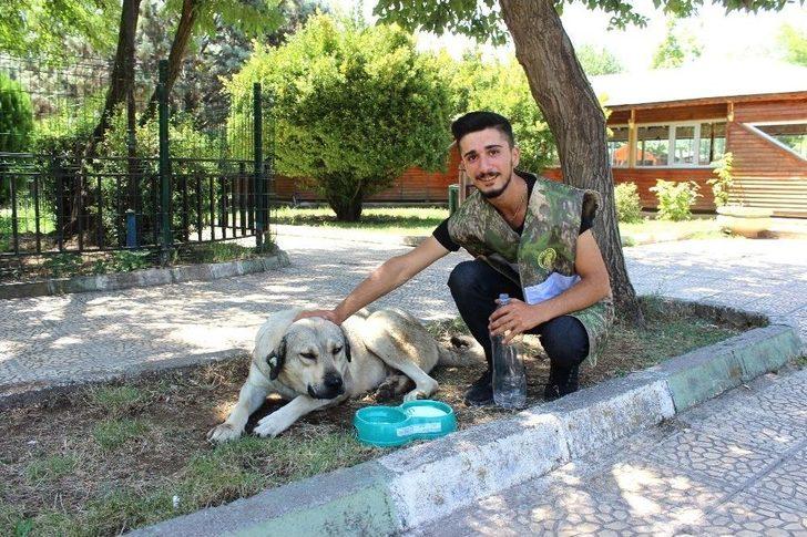 Kavurucu Sıcaklarda Hayvanların İmdadına Ekipler Yetişti G5