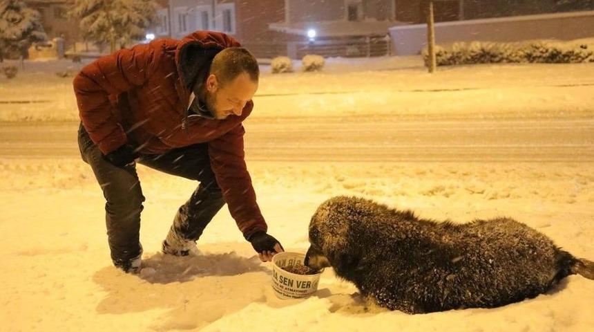 Soğuk Havada Sokak Hayvanlarını Unutmadılar