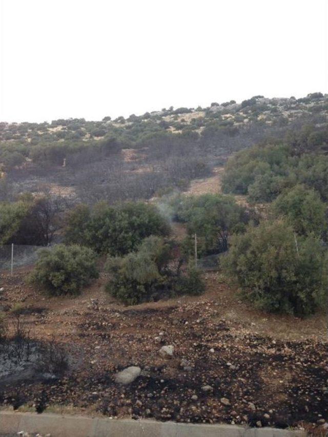 Nurdağı’nda Orman Yangını Korkuttu