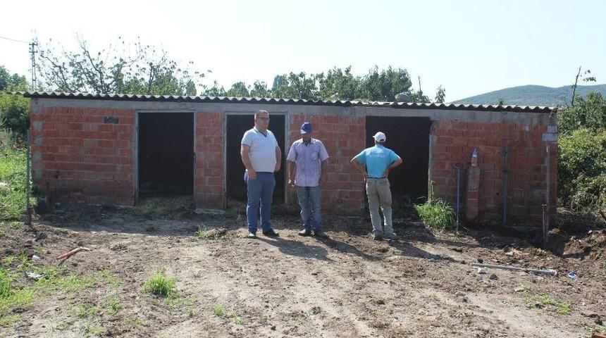 &Ccedil;ardak&rsquo;ta Hayvan Barınağı İnşa Ediliyor