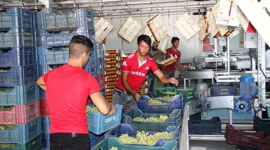 İhracatın İlk G&uuml;n&uuml; 54 Tır &Uuml;z&uuml;m G&ouml;nderildi