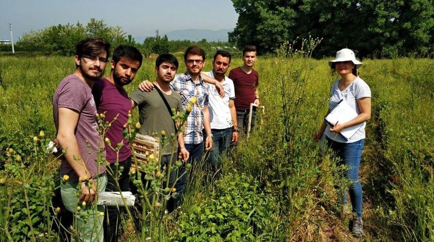 T&uuml;bitak&rsquo;tan 3 Projeye Destek