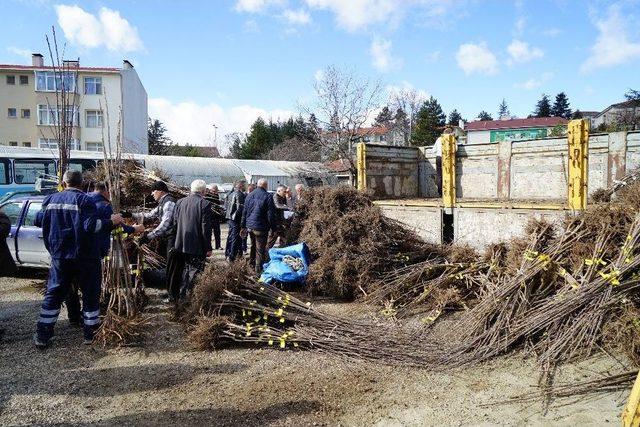 Kastamonu’da Çiftçilere 18 Bin Adet Fidan Dağıtıldı