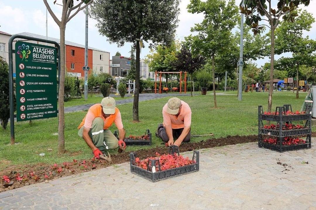 Ataşehir&rsquo;de Parklar Hem &Ccedil;oğalıyor Hem Yenileniyor