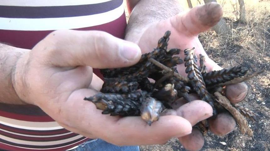 Mahsulü Tarlada Yanan Çiftçi Olayın Araştırılmasını İstiyor