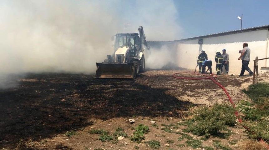 Karacabey&rsquo;de &Ccedil;ıkan Yangında Hayvanlar Telef Oldu