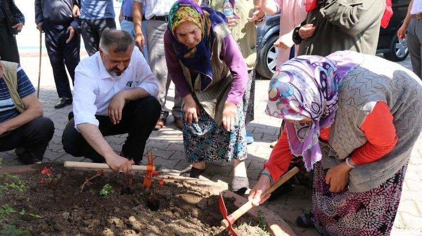 Başkan Kılı&ccedil;, Bafra Huzurevi&rsquo;nin Bah&ccedil;esine &Ccedil;i&ccedil;ek Dikti