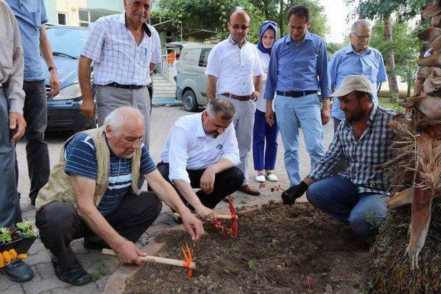 Başkan Kılıç, Bafra Huzurevi’nin Bahçesine Çiçek Dikti