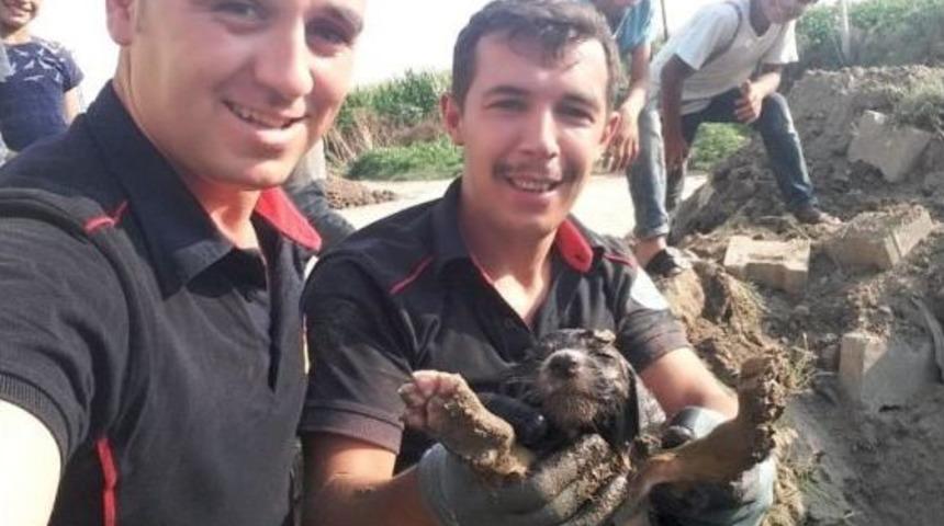 İtfaiye Yavru K&ouml;pek İ&ccedil;in Seferber Oldu