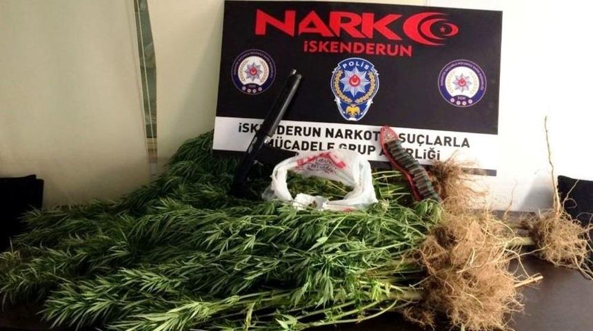 İskenderun&rsquo;da Uyuşturucu Operasyonları: 7 G&ouml;zaltı
