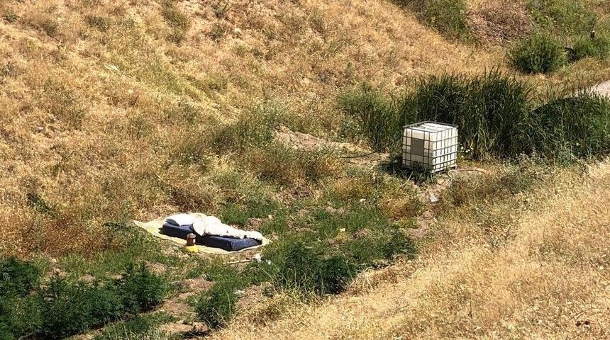 Elazığ&rsquo;da 150 K&ouml;k Kenevir Ele Ge&ccedil;irildi