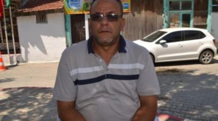 Edirne&rsquo;de Arı &Ouml;l&uuml;mleri Tedirgin Etti