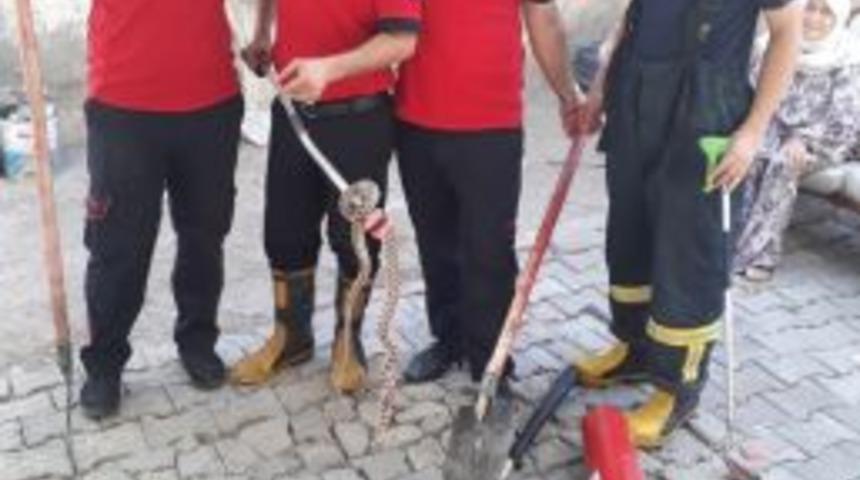 &Ccedil;amaşır Makinesine Gizlenen Yılan İtfaiye Tarafından &Ccedil;ıkartıldı