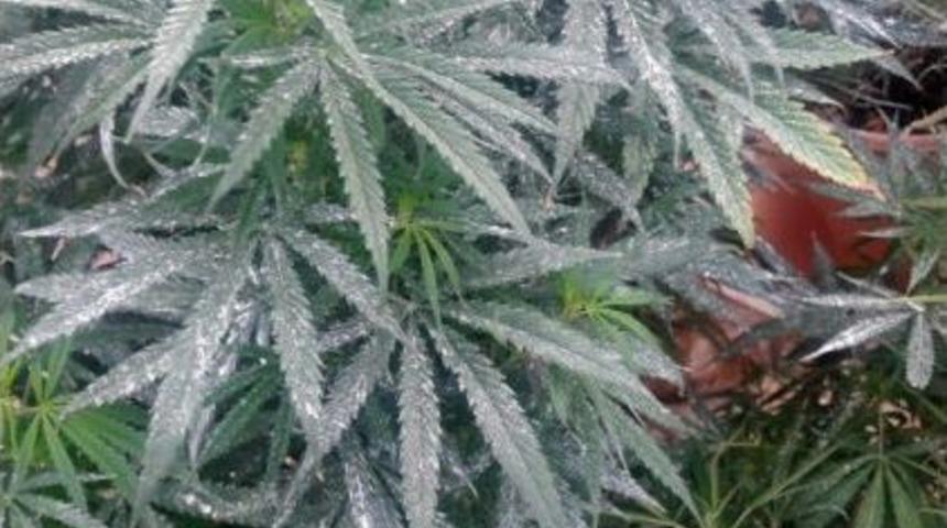 İzmir&rsquo;de Villaya Uyuşturucu Operasyonu