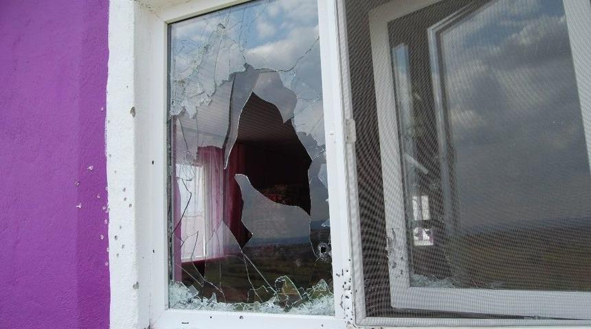 At Kavgası Kanlı Bitti