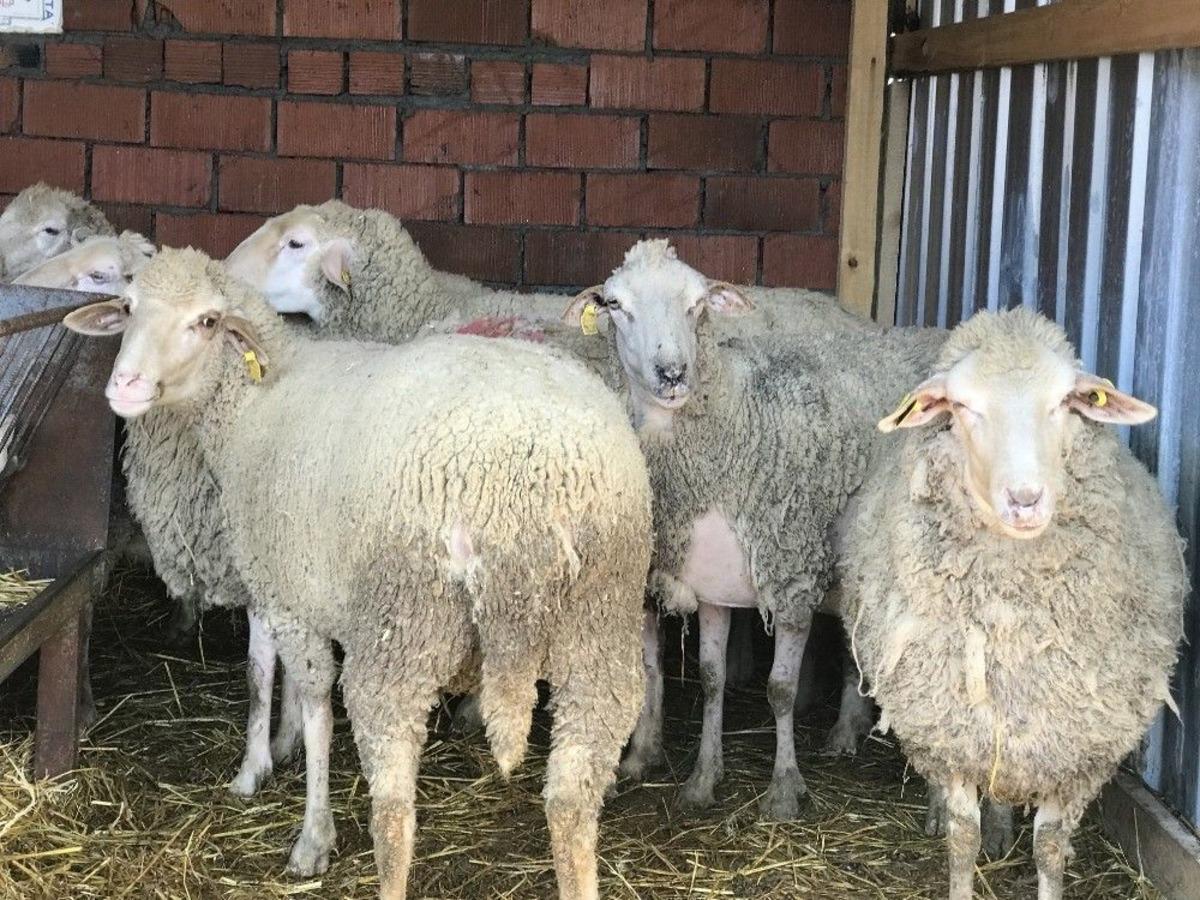 &Ccedil;anakkale&rsquo;de 43 K&ouml;y Karantina Altına Alındı