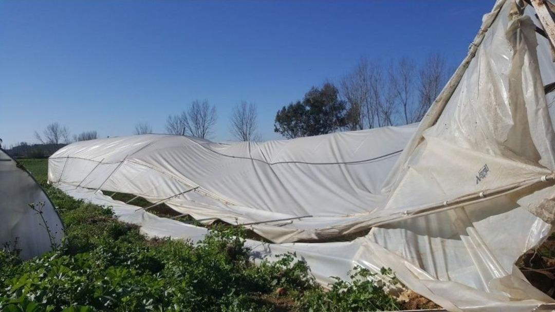 Seraları Hortum Vurdu