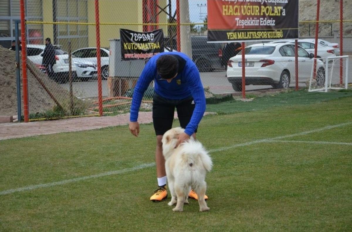 Evkur Yeni Malatyaspor&rsquo;da Atiker Konyaspor Mesaisi Başladı