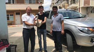 Yaralanan Leylek İçin Seferber Oldular