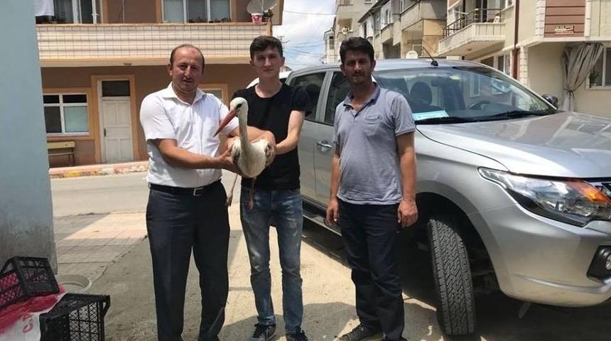 Yaralanan Leylek İçin Seferber Oldular