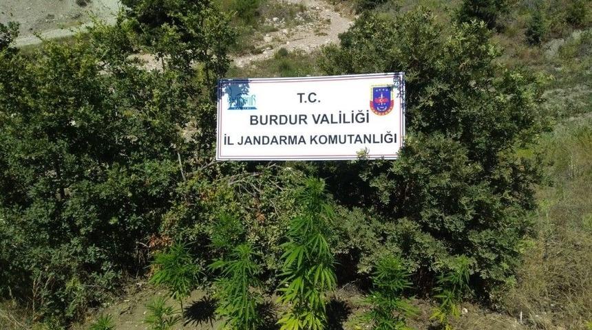 Burdur&rsquo;da Uyuşturucu Operasyonu: 1 Tutuklama